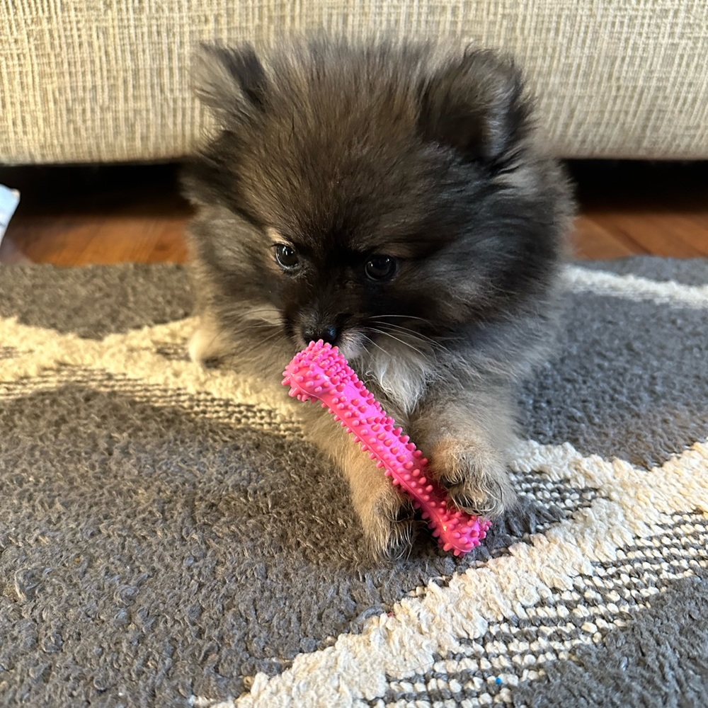 ❤️LOVES OFFERS ❤️! - Picture 13 of 16